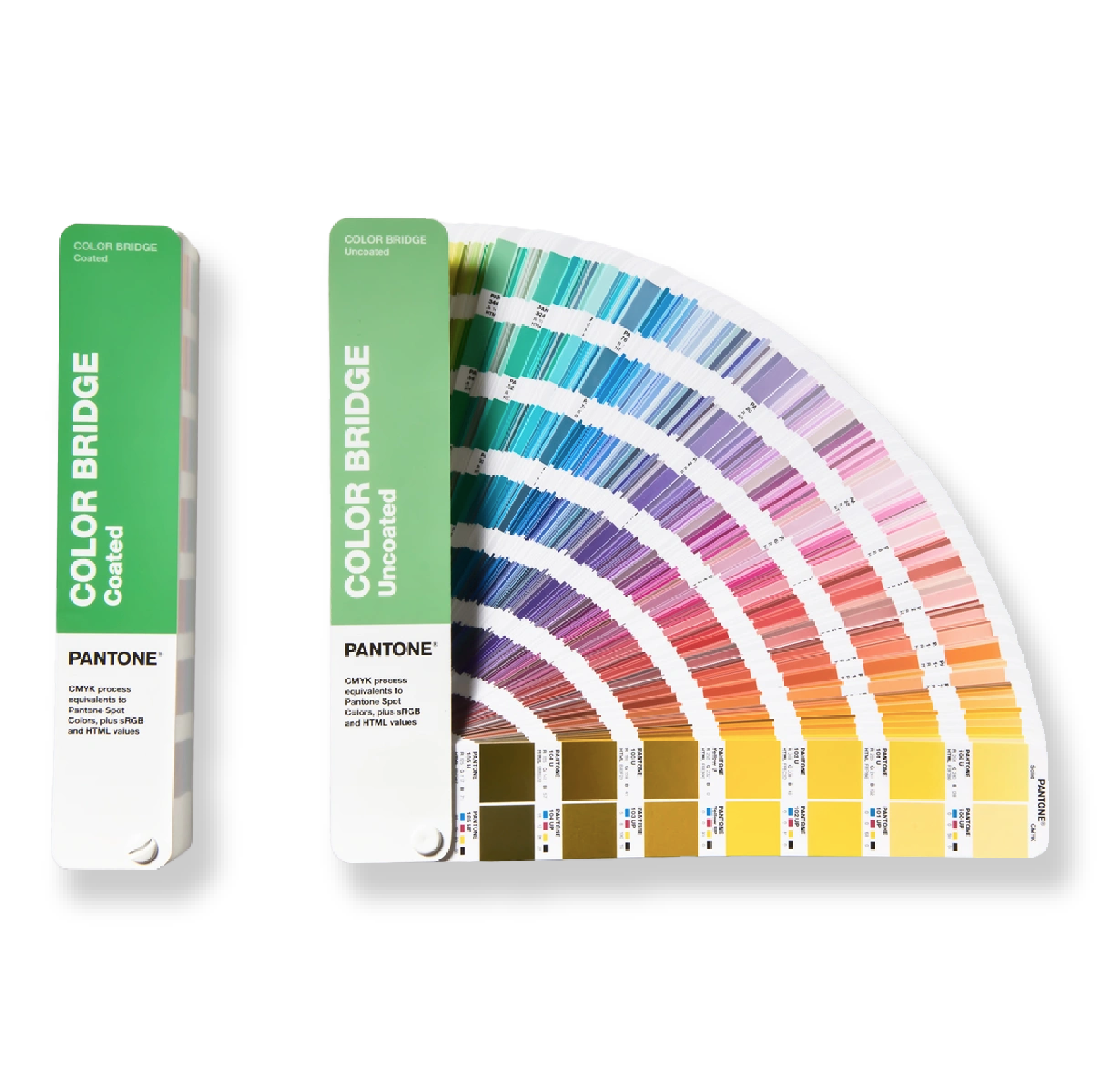 color bridge 1@400x